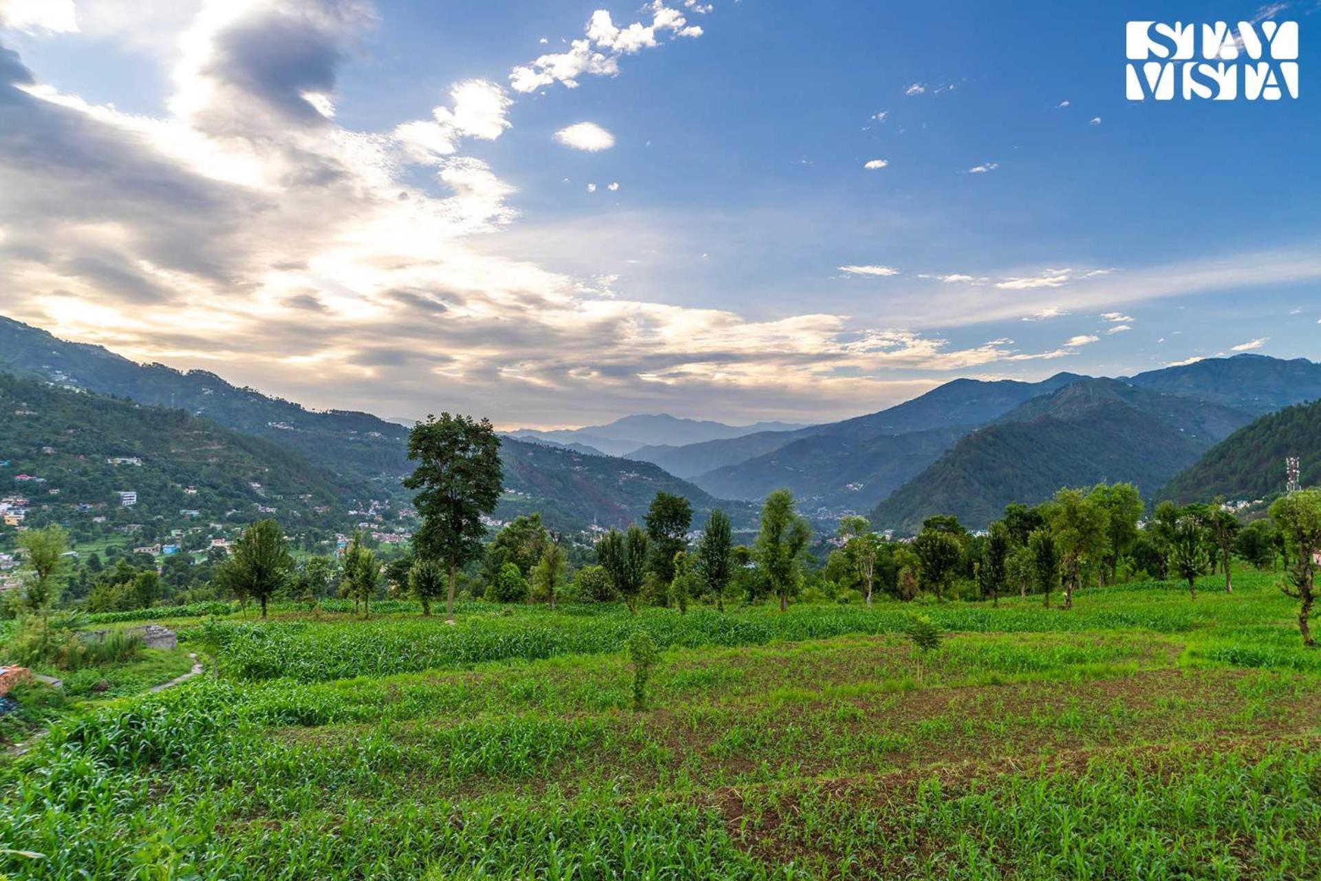 Stayvista At The Oakridge 4 Bhk Villa In Dharamshala With Jacuzzi & Balcony Chamba  Luaran gambar
